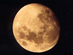 月娘特寫／陳鶴文 攝